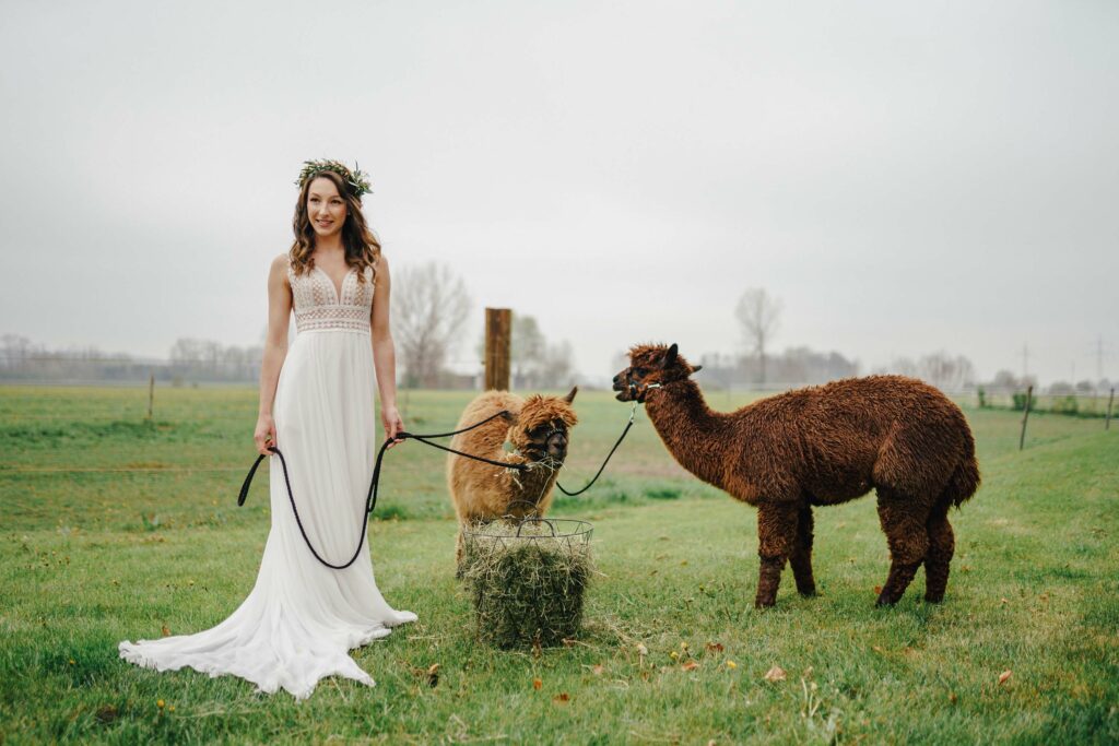 Hochzeitsvideo Augsburg